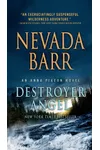 Destroyer Angel