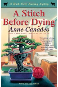 A Stitch Before Dying