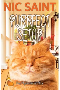 Purrfect Setup