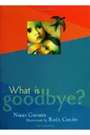 What is Goodbye?