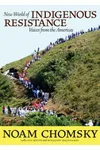 New World of Indigenous Resistance