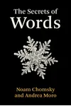 The Secrets of Words