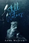 Still Waters