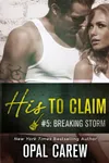 Breaking Storm