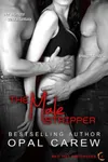 The Male Stripper