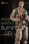 Burning Up