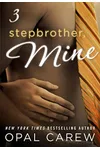 Stepbrother, Mine #3