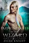 Imprisoned by the Wizard