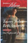 One Night with a SEAL