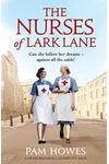 The Nurses of Lark Lane