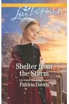 Shelter from the Storm