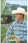 A Cowboy in Amish Country