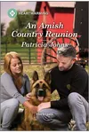 An Amish Country Reunion