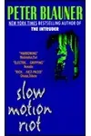 Slow Motion Riot