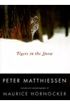 Tigers in the Snow