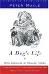 A Dog's Life