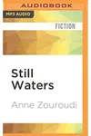 Still Waters