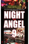 Night Angel 9