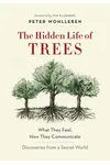 The Hidden Life of Trees