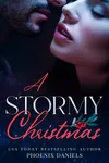 A Stormy Christmas