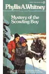 Mystery of the Scowling Boy