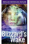 Blizzard's Wake