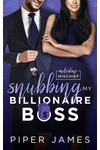 Snubbing My Billionaire Boss
