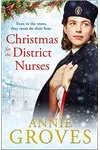 Christmas for the District Nurses