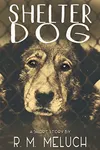 Shelter Dog