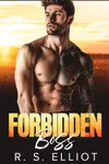 My Forbidden Boss