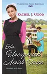 His Unexpected Amish Twins