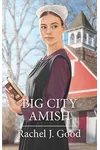 Big City Amish