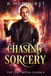 Chasing Sorcery / Taurus