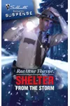 Shelter From the Storm