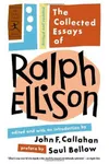 The Collected Essays