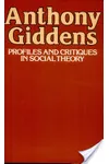 Profiles And Critiques In Social Theory