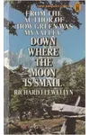 Down Where The Moon Is Small