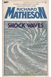 Shock Waves