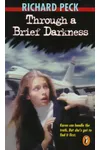 Through a Brief Darkness
