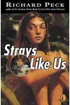Strays Like Us