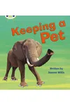 Keeping a Pet