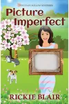 Picture Imperfect