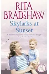 Skylarks At Sunset