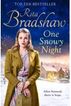 One Snowy Night