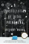 A Constellation of Vital Phenomena