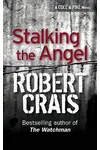 Stalking the Angel