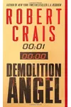 Demolition Angel