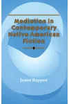Mediation in Contemporary Native American Fiction