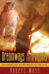 Dreamways Of The Iroquois