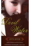 Devil Water